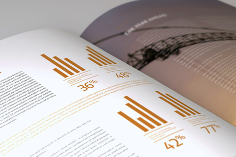 Annual Reports of Shreeshay Engineers Ltd.